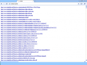 Google Chrome -about:cache cch 300x225 Hidden Configuration Pages of Chrome Google Browser